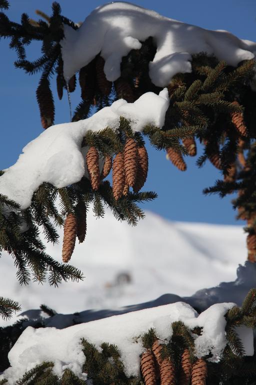 Chalet-Hotel Le Beausoleil, The Originals Relais Fontcouverte-la-Toussuire 외부 사진